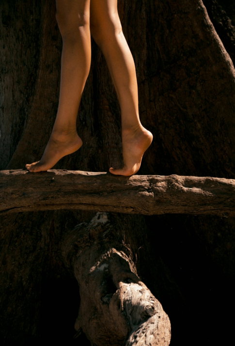 Bare feet walking on a fallen tree trunk.